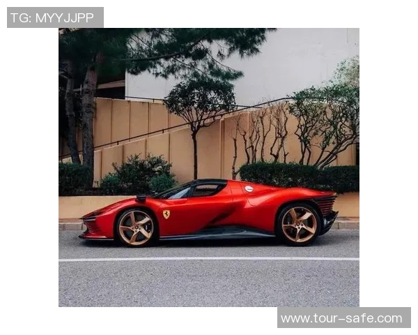 足球明星购车是否也需排队体验豪车的奢华与等待的烦恼